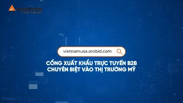 TĂNG TỐC XUẤT KHẨU TRỰC TUYẾN VÀO THỊ TRƯỜNG MỸ QUA NỀN TẢNG TMĐT B2B VIETNAMUSA.AROBID.COM