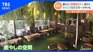 都心に続々「体験型カフェ」【Nスタ】