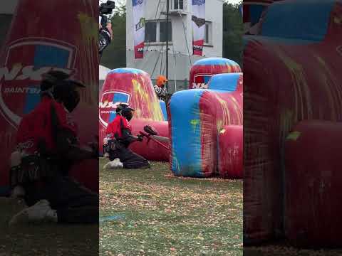 #scalp #paintball #speedball #starkhpaintball #starkh