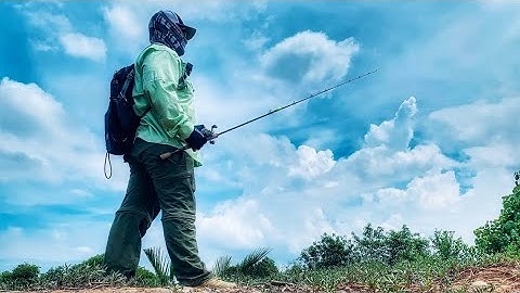 Săn Cá Chẽm Bình Đại Ngày Nước Kém | Low Tide Barramundi Hunting