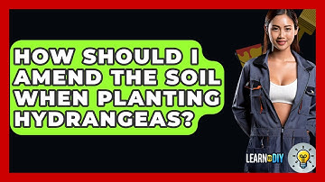 How Should I Amend The Soil When Planting Hydrangeas? - LearnToDIY360.com