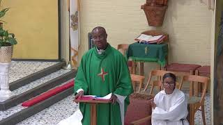 Thirteenth Sunday in Ordinary Time