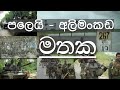 පලෙයි සිට අලිමංකඩ දක්වා Memories of PALAI to ELEPHANT PASS