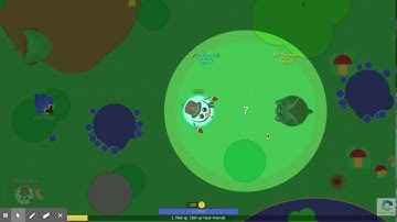 Mope.io 1v1 Redemption