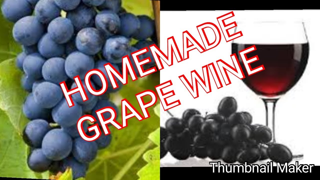 Grape wine making recipe very easy method part 1 malayalam janas kitchen colours