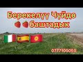 Чүйдө кулпунайдын жаңы доору башталды.