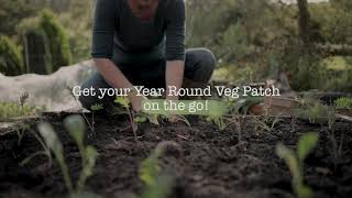 Grow year round veggies with Rocket Gardens