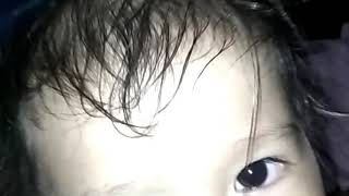 Cicak di dinding versi sunda