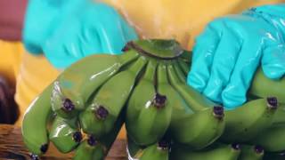Proceso de empaque del banano