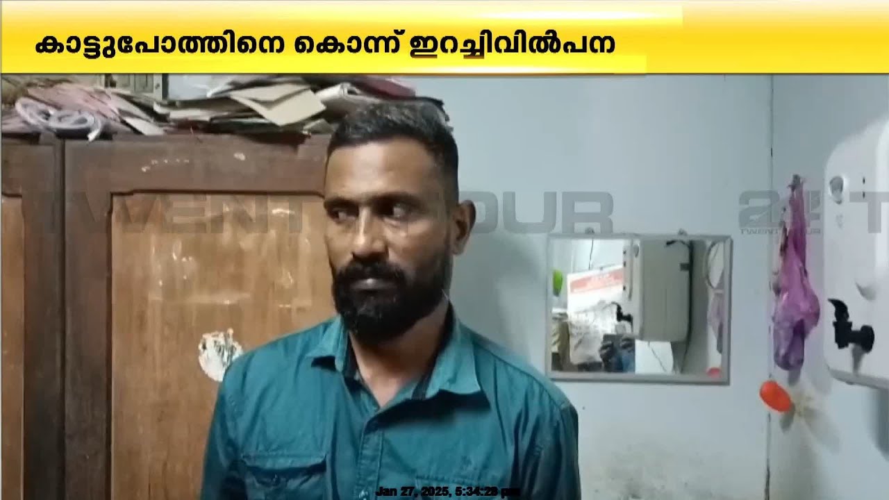 കാട്ടുപോത്തിനെ കൊന്ന് ഇറച്ചിവിൽപ്പന നടത്തിയ മുഖ്യപ്രതി പിടിയിൽ | Nilambur