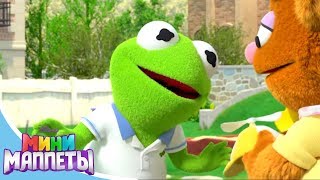 Мини Маппеты - Сезон 1 Серия 4 - Мультфильмы Disney Узнавайка для малышей Мини Маппеты - Сезон 1 Серия 4 - Мультфильмы Disney Узнавайка для малышей