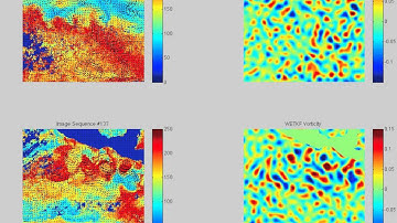 Weighted Ensemble Kalman Filtering image assimilation of sea surface temperature