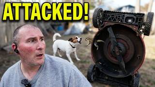 What's living under my lawnmower? (Scared Straight)