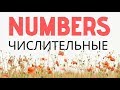 Numbers - всё о ЧИСЛАХ в английском: как говорить номера телефнов, автобусов, домов. Числительные