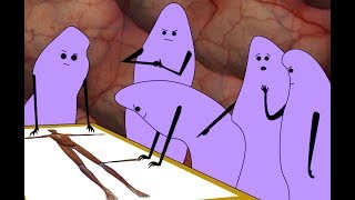 : Antibiotic Resistance Solution - Quorum Sensing