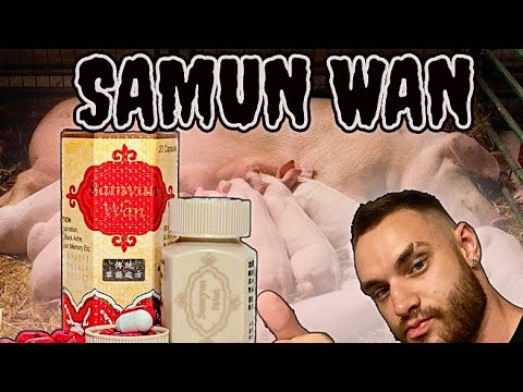 SAMUN WAN ( Самюн ван ) Как стать свиноматкой быстро и без усилий ...