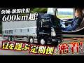 【密着】トラガールの償いと感謝に涙…豆を運ぶ茨城→新潟往復600km!