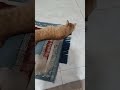 ميشة و عشقها للسجادة 14 أفريل 2206 