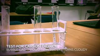 Chemical Tests: Hydrogen and Carbon Dioxide