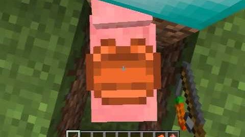 Minecraft 1.4.2 How to make a Carrot on a stick tutorial