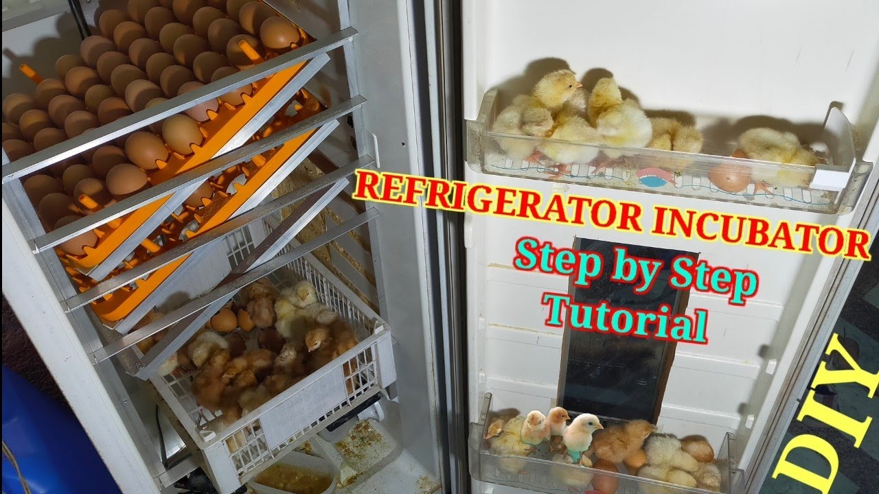 Инкубатор из холодильника своими руками