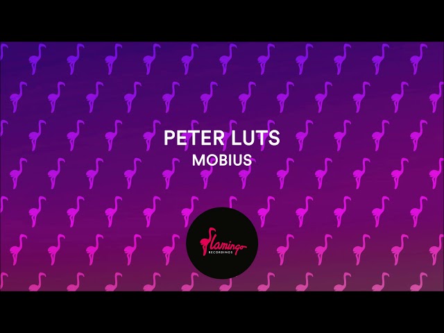 PETER LUTS - Mobius
