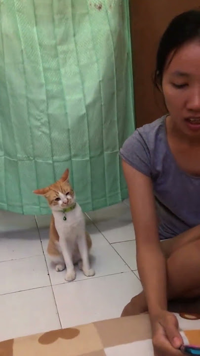 dia marah ketika ada yang nyanyi😂