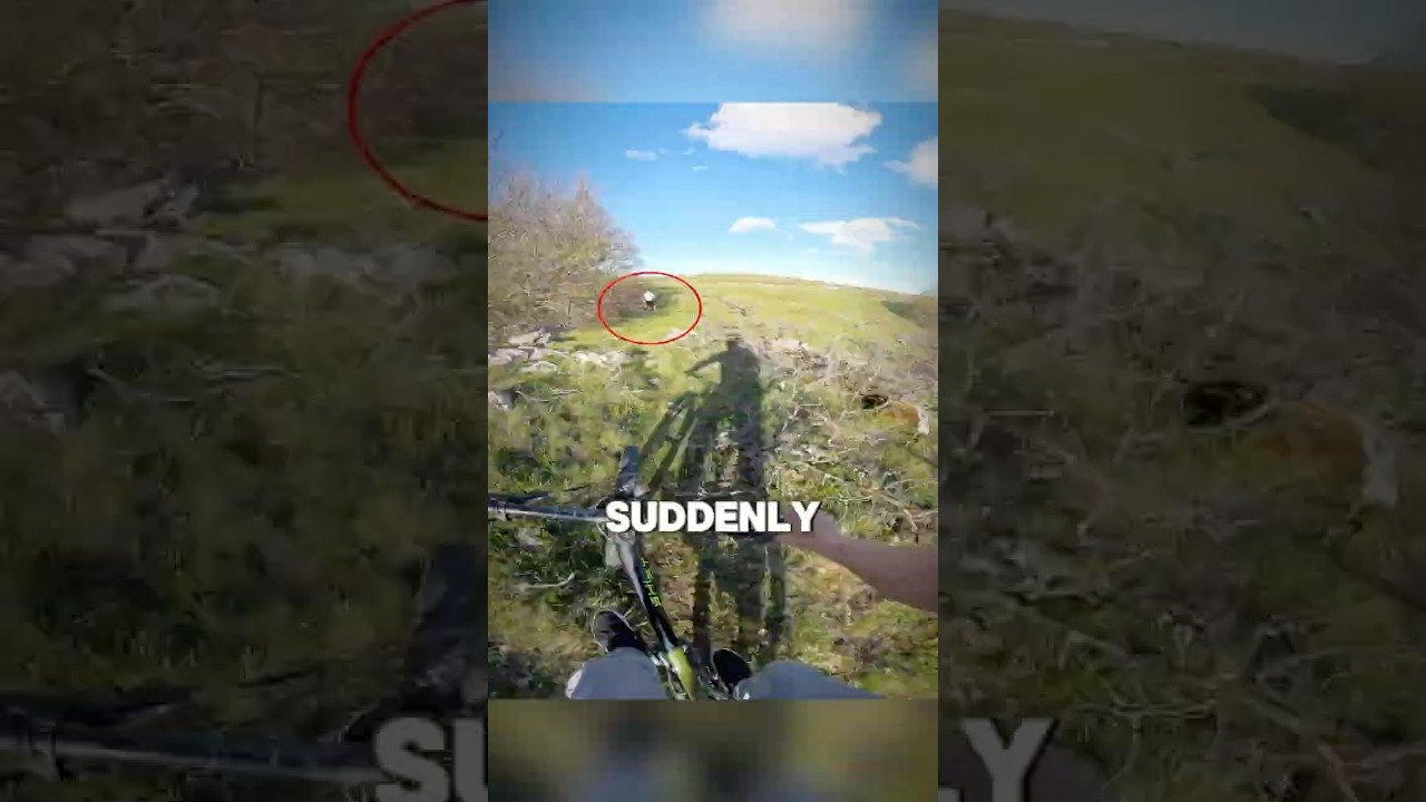 Biker Saw Strangers Who Love Nature