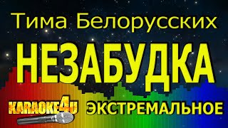 Тима Белорусских | Незабудка | ЭКСТРЕМАЛЬНОЕ КАРАОКЕ (Кавер минус)