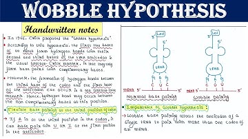 Wobble hypothesis | Significance