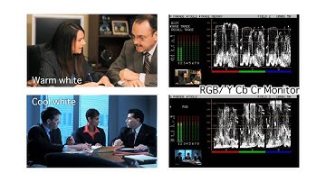 Datavideo VS-100 Vectorscope and Waveform Monitor