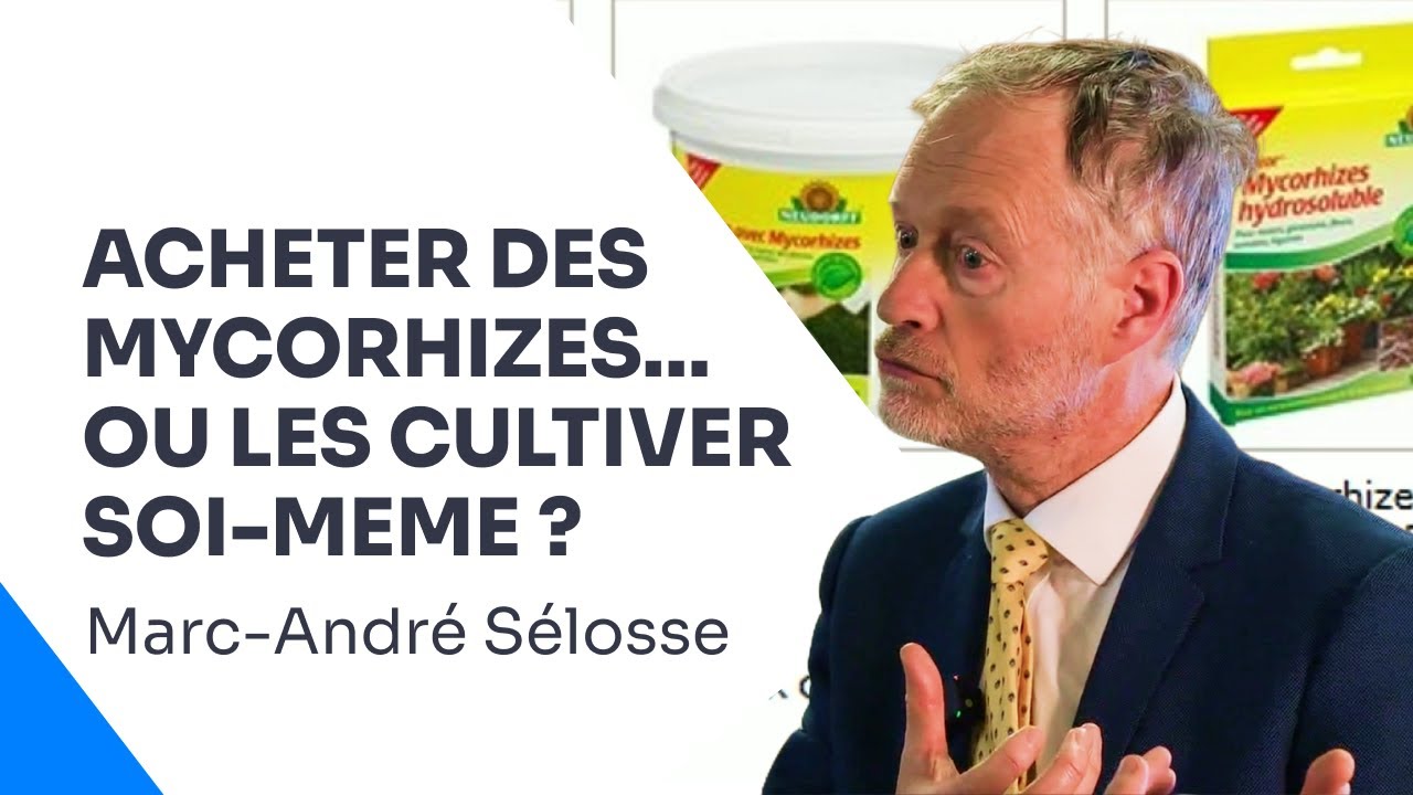 Mycorhizes : mode d’emploi pour des sols vivants, Marc-André Sélosse