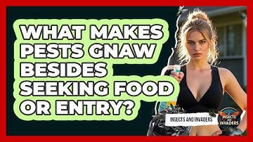 What Makes Pests Gnaw Besides Seeking Food Or Entry? - Insects and Invaders