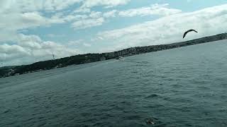 Walking İnto Nothingness|Sea[2]