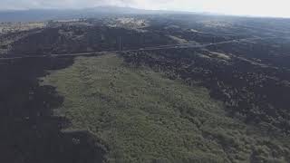 Xenolith Bearing Lava of Hualālai Volcano #5