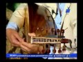 لايق عليك الخال فادي عادل في ذكرى العندليب عبد الحليم حافظ على قناة النيل الثقافية لايق عليك الخال فادي عادل في ذكرى العندليب عبد الحليم حافظ على قناة النيل الثقافية
