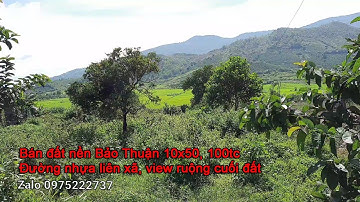 Đất Bảo Thuận, đất Di Linh, đất view ruộng, rộng 10X50 với 100 thổ cư, mặt tiền đường nhựa 6m #15
