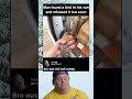 Man Found A Live Bird Inside His Van