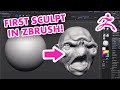 Your First ZBrush Sculpt