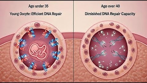 grok-video-6ecc535d-3fae-4c0a-ac7b-0a39dfe1354b