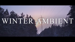 Winter Ambient by Skinny | vintage lo-fi sampler and analog synth | ML RAW