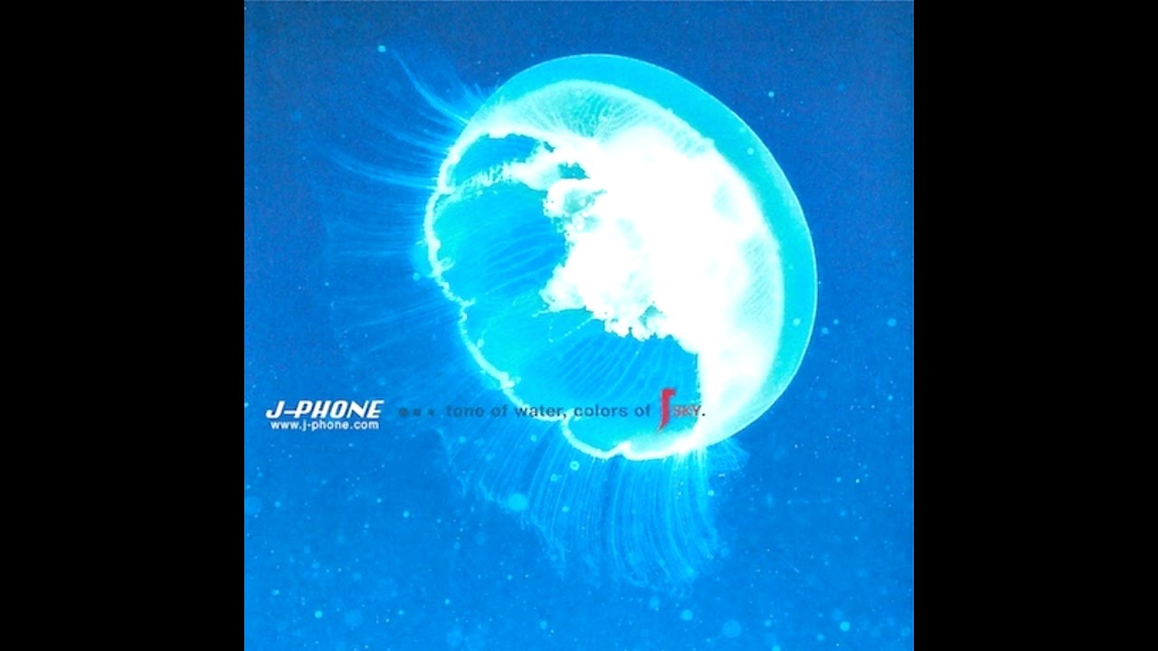 Bamboo Data - Park Side