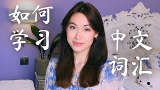 How to Learn Chinese Faster and Smarter screenshot 2