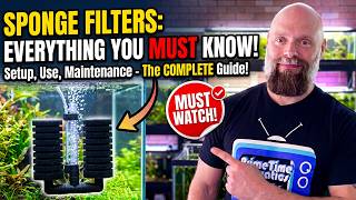 Aquarium Sponge Filters: What Size Do You Need and How Much Flow? Fish Tank Filtration How Much Do You Need
