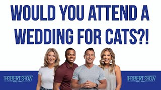 Would You Attend A Wedding For Cats?!