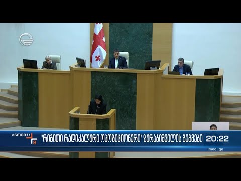 „რიგითი რადიკალური ოპოზიციონერი“ - ზურაბიშვილის გეგმები