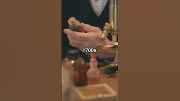 Chromium – Can This Shiny Metal Really Stop Time?