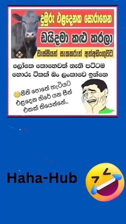 වැස්සි හිරේ යන සීන් එකක් තියෙන්නේ 🐂 #comedyjokes #sinhalamemes #memelife #justforlaughs