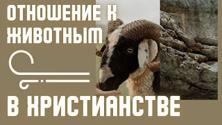 Отношение к животным в христианстве. Максим Каскун