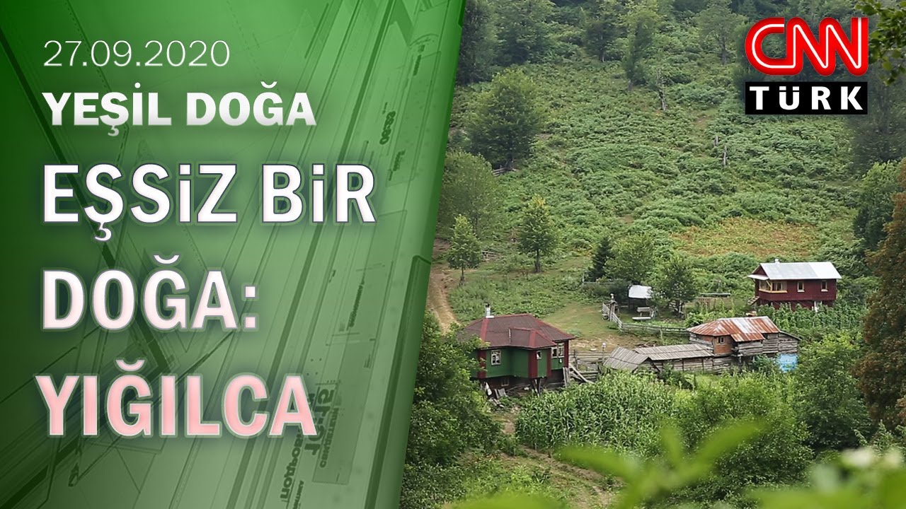 Yığılca'nın eşsiz doğa güzellikleri, arısı, meşhur balı ve Sarıkaya mağarası -Yeşil Doğa 27.09.2020
